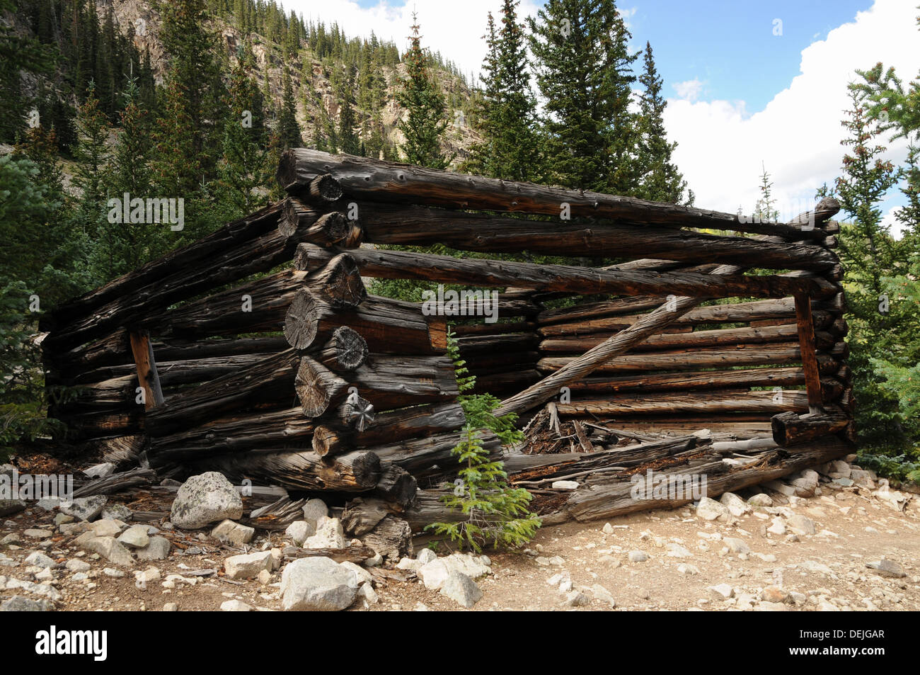 Eine verlassene Bergbau-Kabine auf dem Jeep Trail bis Grizzly Lake, Chaffee County, Colorado. Stockfoto