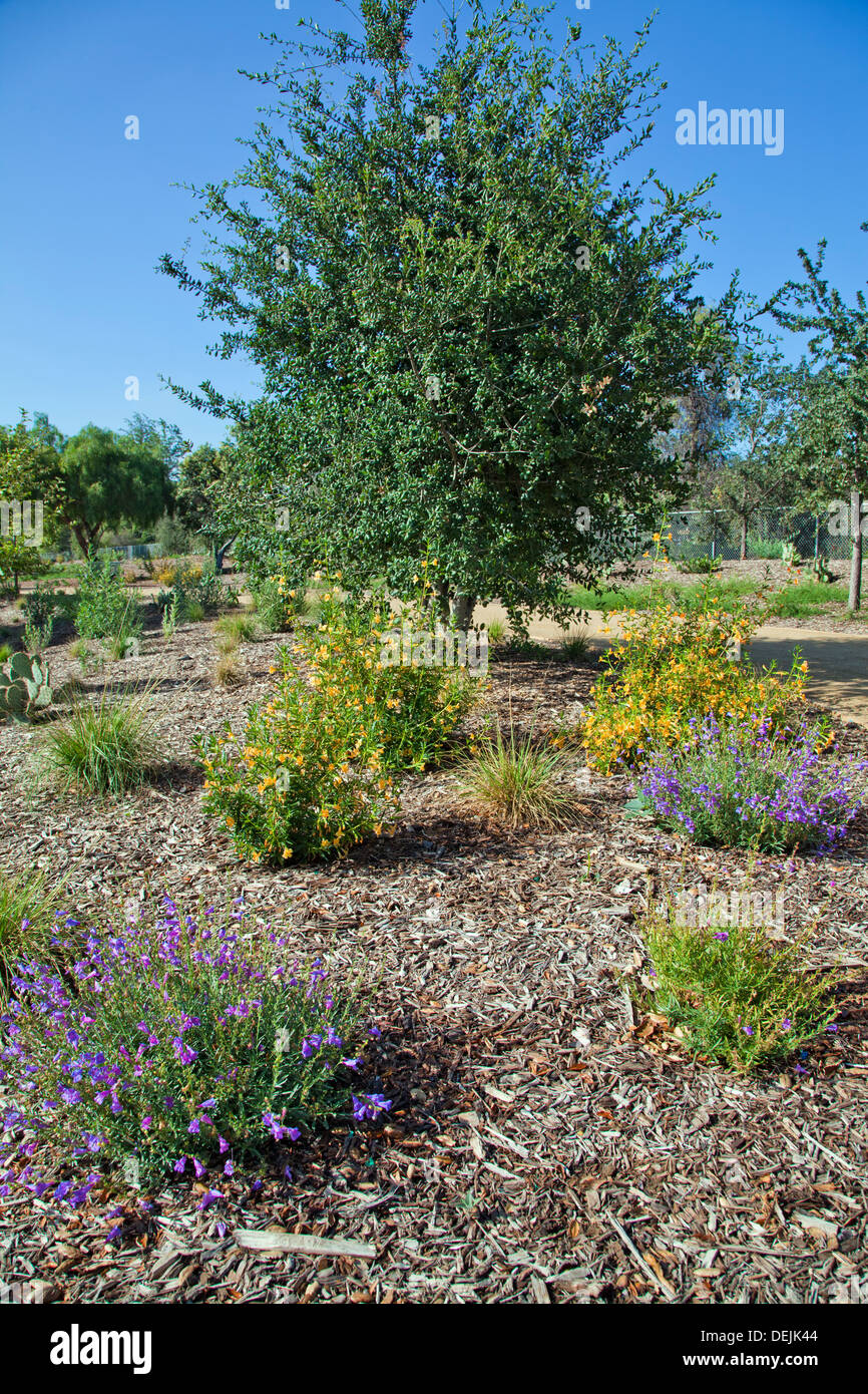 Eröffnung des Sunnynook River Park, Glendale Narrows, Los Angeles River Stockfoto