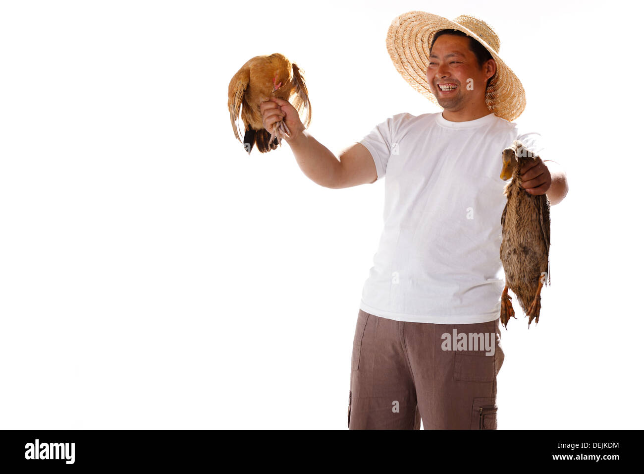 Landwirt Holding Huhn und Ente Stockfoto