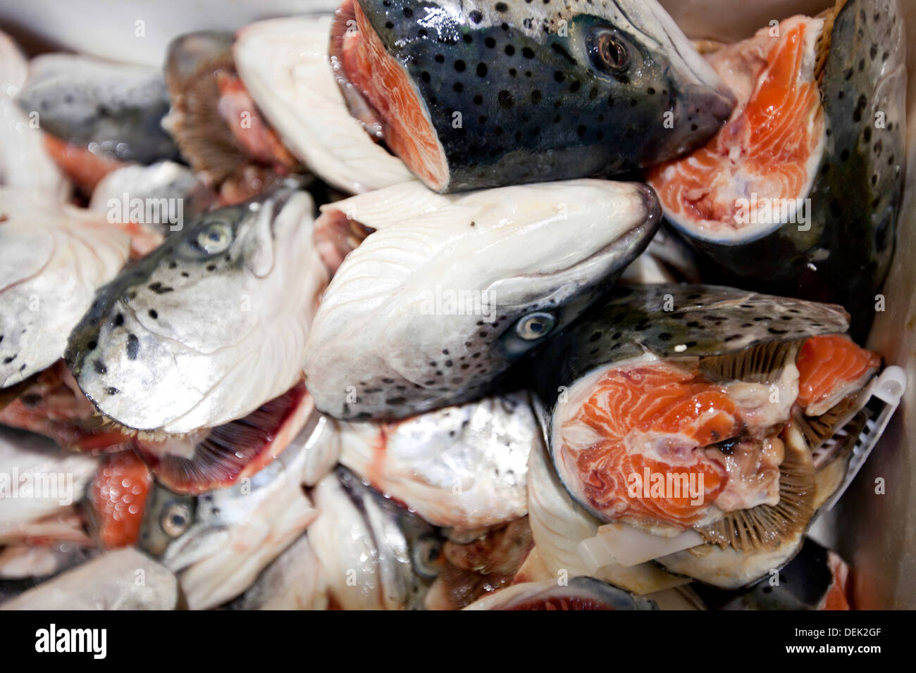 Close-up gehackte Fische Markt Stockfoto