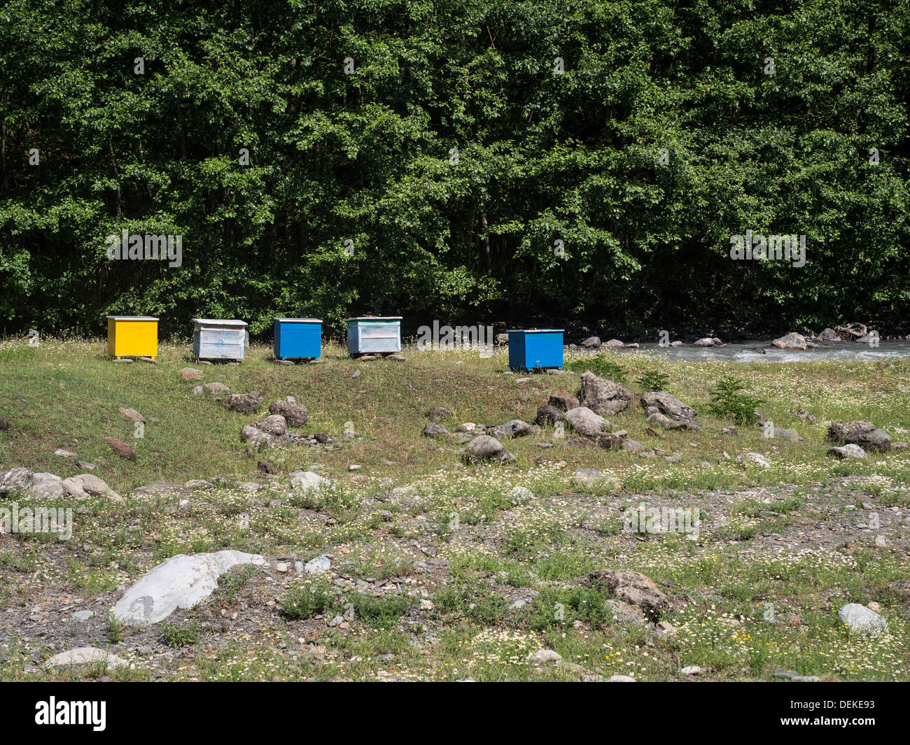 Bienenstöcke in Tuscheti Region, Georgia, platziert dort für die Herstellung der Berghonig. Stockfoto