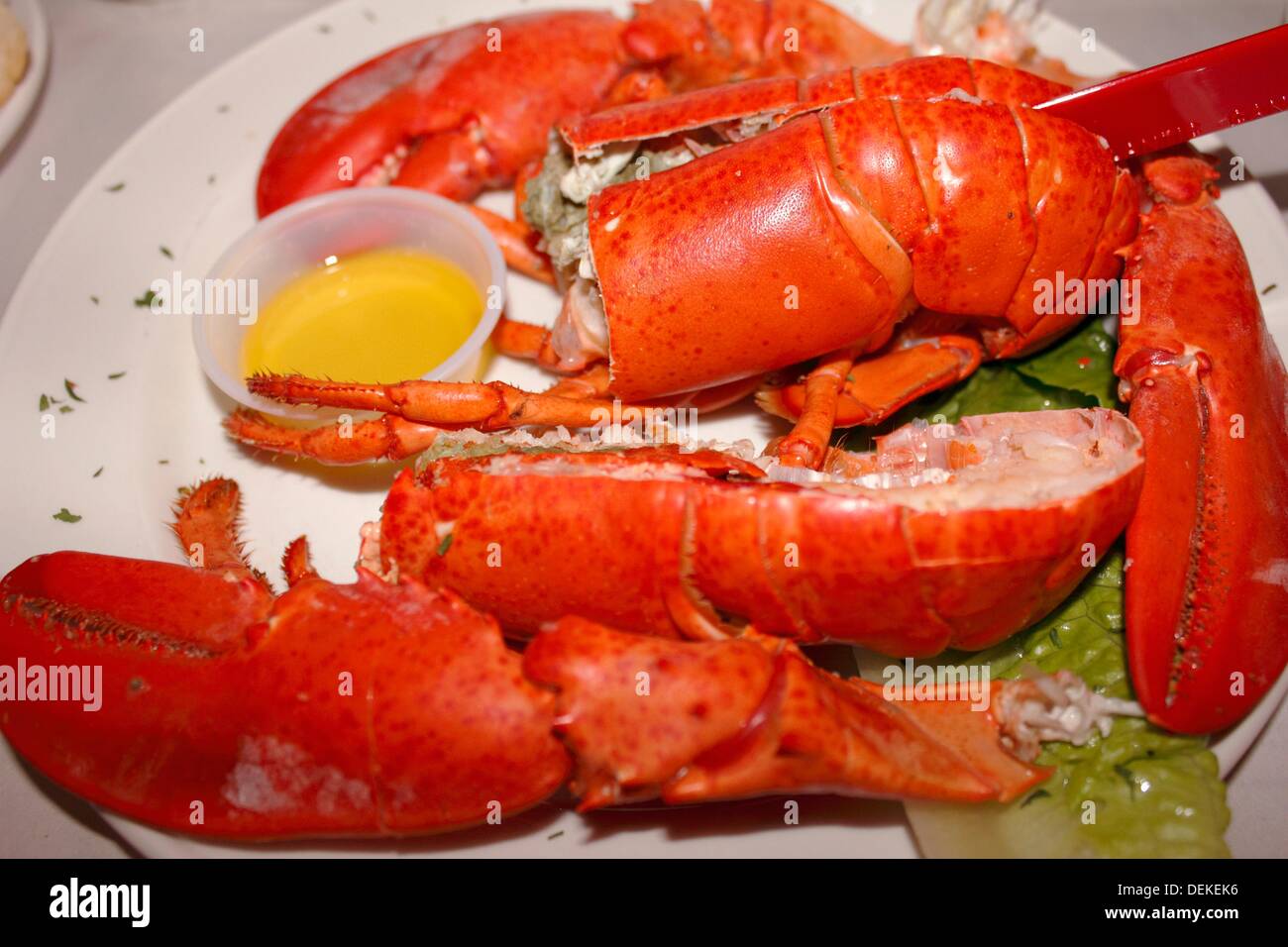 Hummer Shell Fish Melted Butter With Lobster Stockfotos und -bilder Kaufen - Alamy