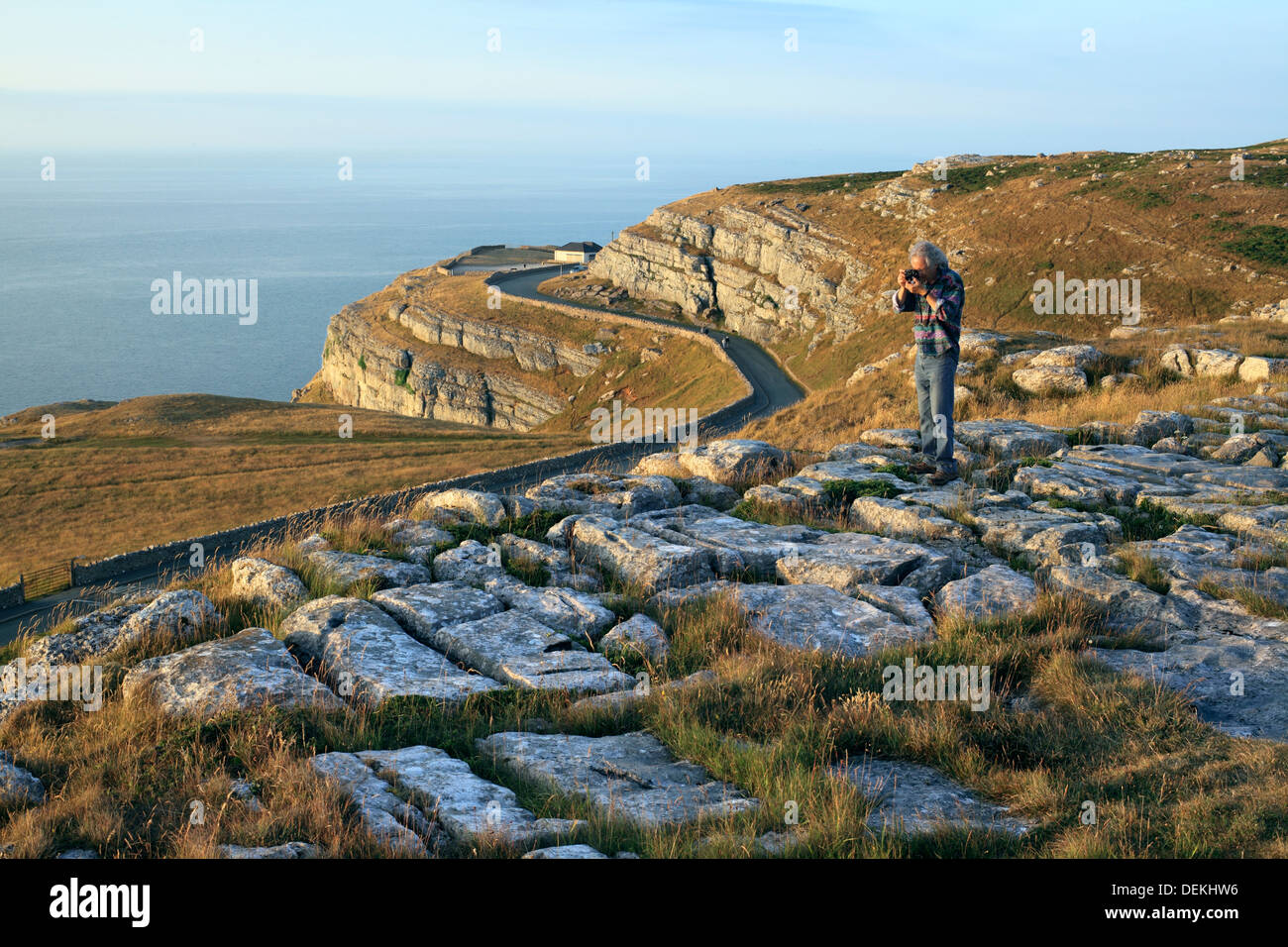 Kalkstein-Landschaft: eine Kalkstein-Pflaster auf den Great Orme Landzunge, Llandudno, Nordwales. Kalkstein-Klippen im Hintergrund. Stockfoto