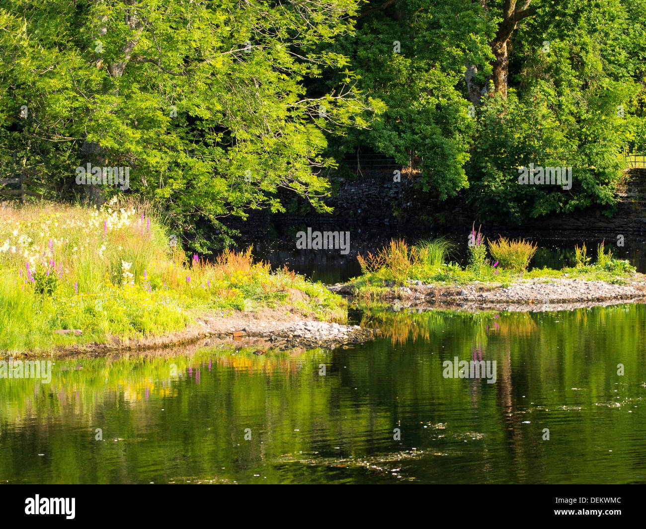 Das Treffen der Fluß Brathay und Rothay in Ambleside, Lake District, Großbritannien. Stockfoto