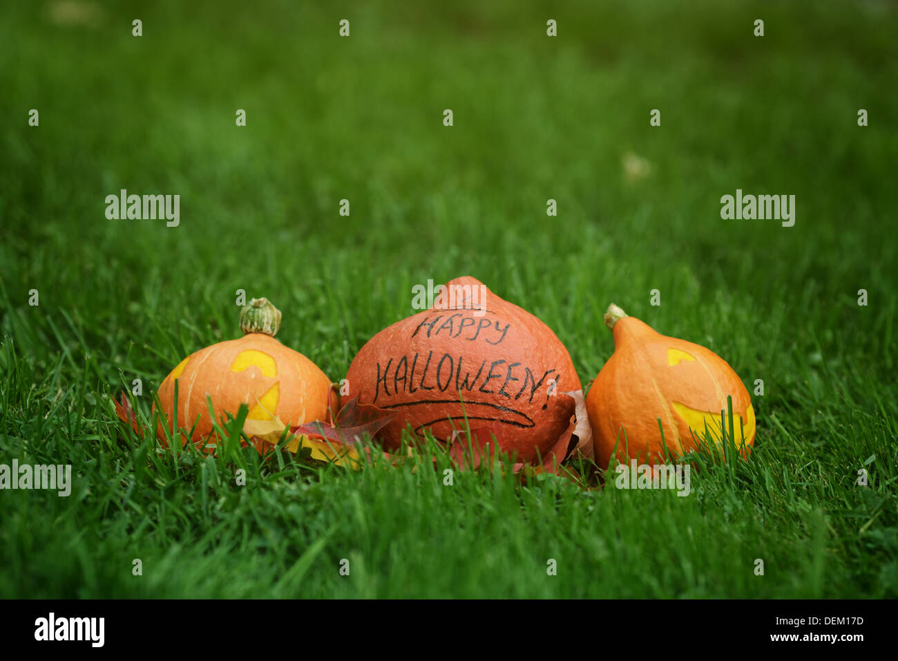 drei Halloween-Kürbisse auf dem grünen Rasen, horizontale Foto Stockfoto