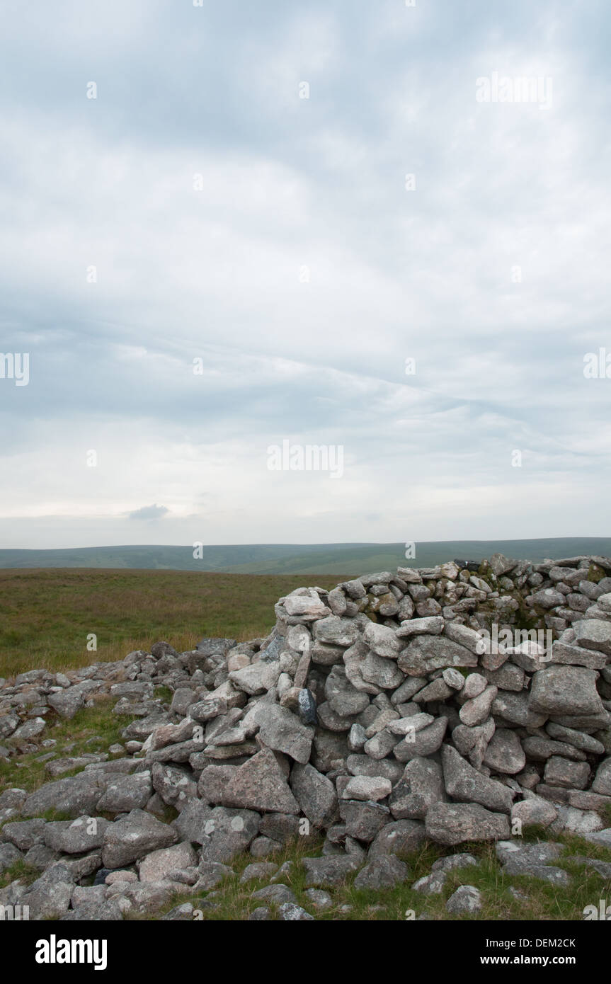 Gewitterfront in Wolken über Hillson Haus archäologische Feature auf Stalldown, Dartmoor Stockfoto