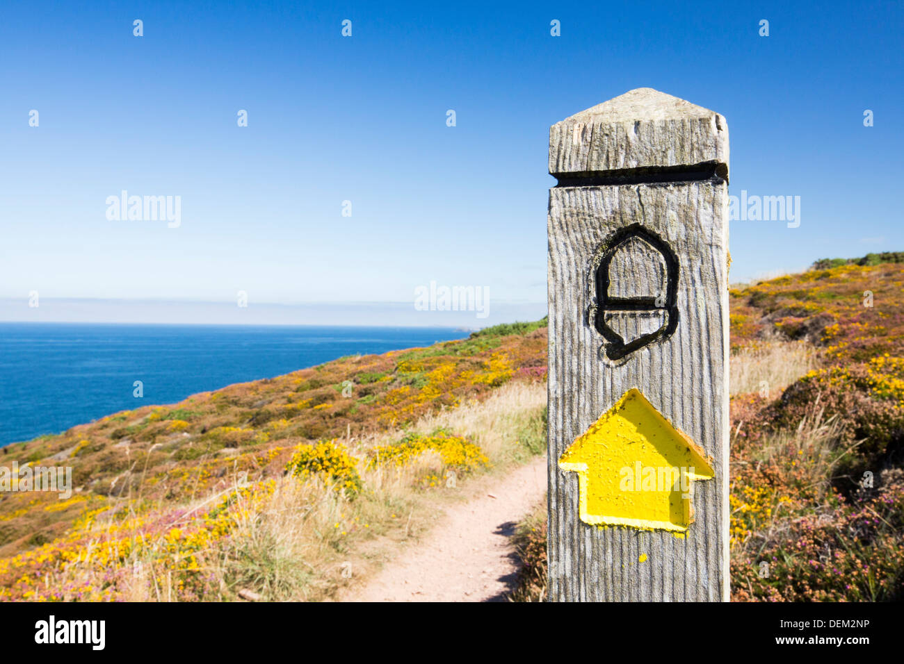 Der South West Coast Path in der Nähe von St. Agnes, Cornwall, UK. Stockfoto