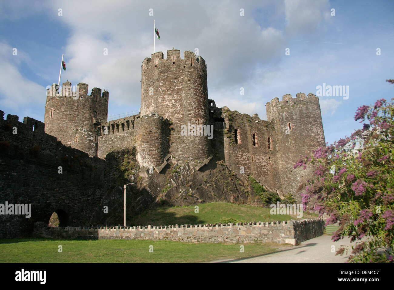 Schloss Conwy Conwy Wales UK Stockfoto