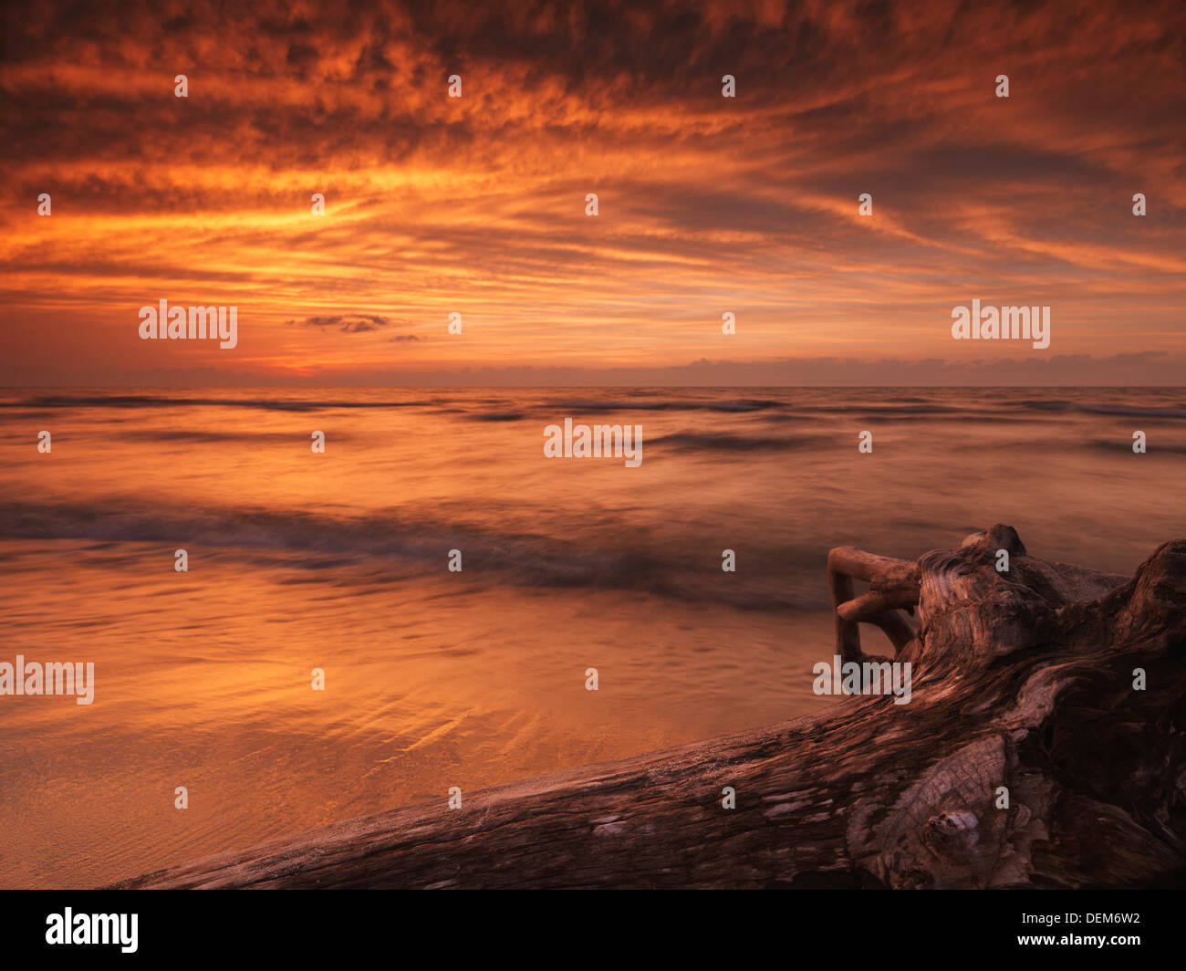 Schöner Sonnenuntergang Dramatik Landschaft Treibholz am Ufer des Lake Huron. Ontario, Kanada, Fichtenwald Provincial Park. Stockfoto