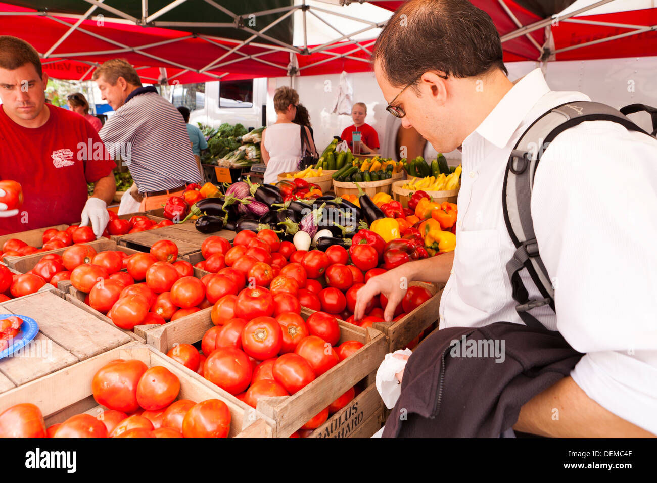 Mann produzieren auswählende Tomaten am Bauernmarkt Stall - Washington, DC USA Stockfoto