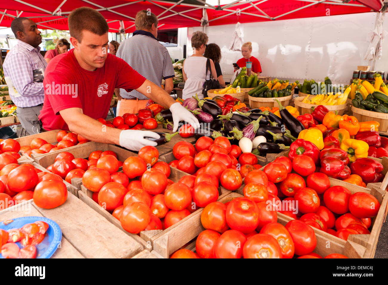 Arbeiter, die Vermittlung von Tomaten auf Bauernmarkt - Washington, DC USA Stockfoto