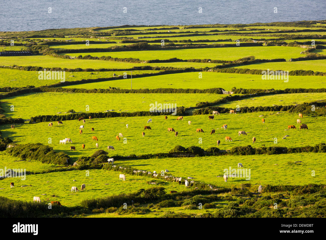 Alten Flurgrenzen in der Nähe von Zennor, Cornwall, UK. Stockfoto
