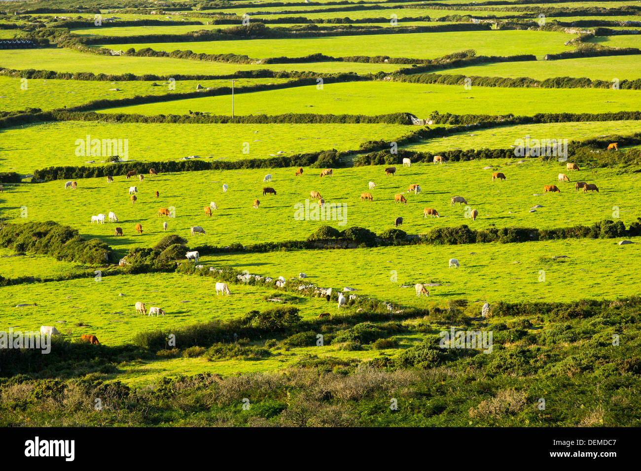 Alten Flurgrenzen in der Nähe von Zennor, Cornwall, UK. Stockfoto