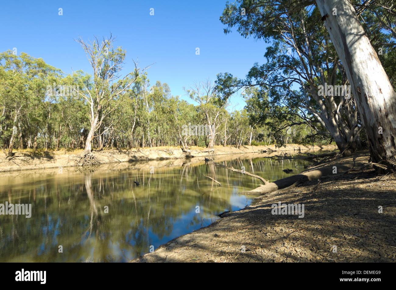 Murrumbidgee River, Balranald, New South Wales, Australien Stockfoto
