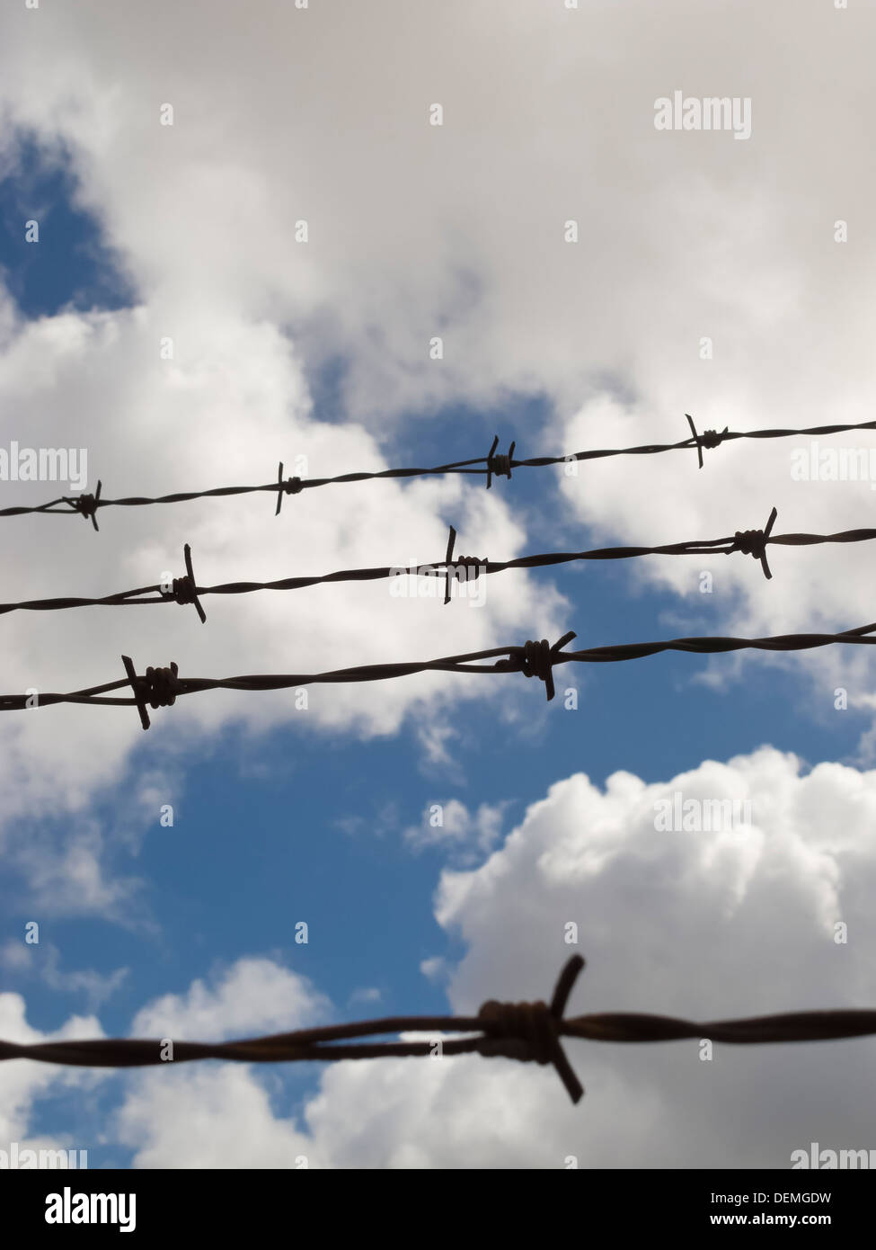 Stacheldraht mit bewölktem Himmelshintergrund Stockfoto