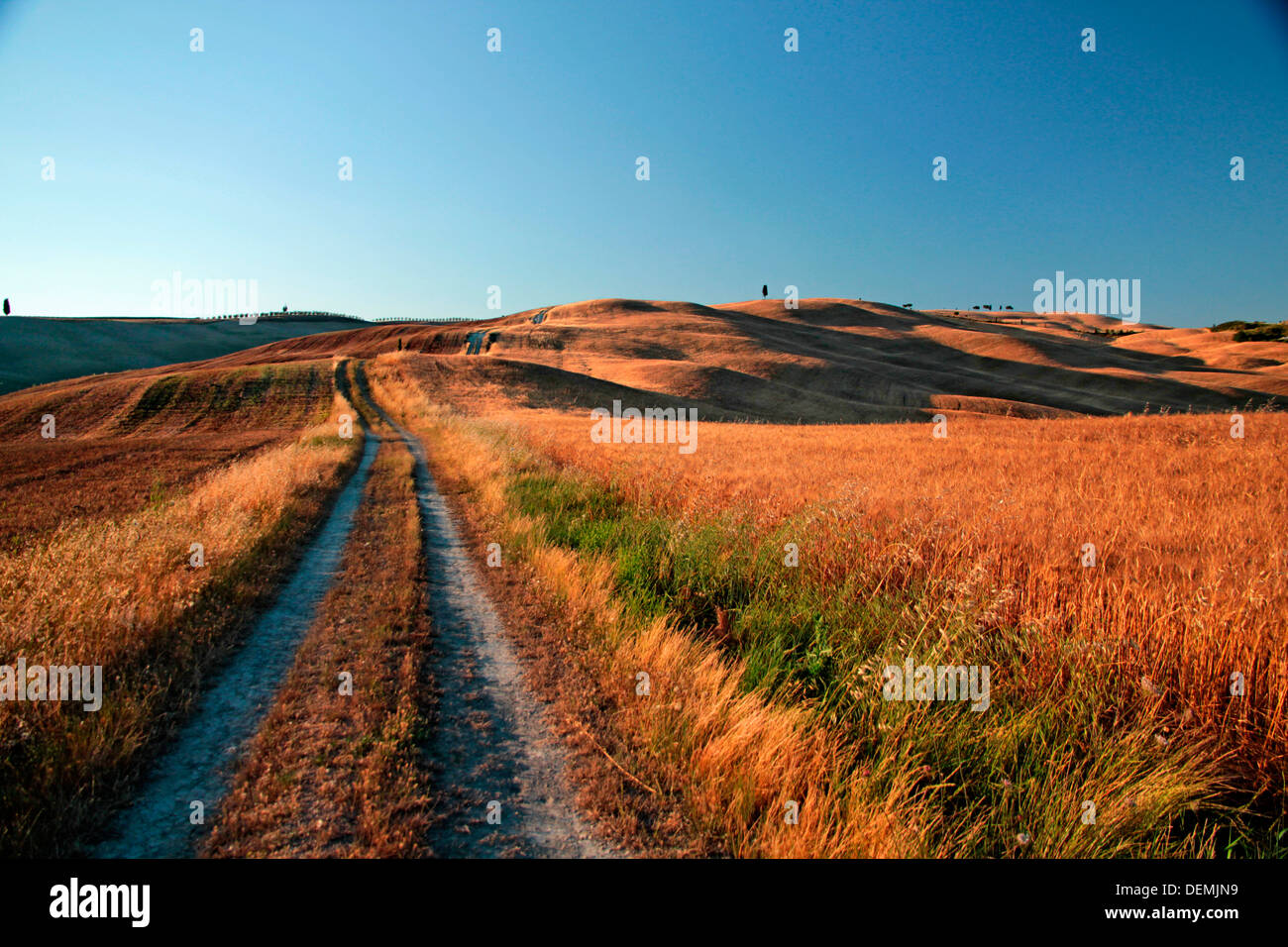 Toskana-Val d ' Orcia gold Braun Feldweg Stockfoto