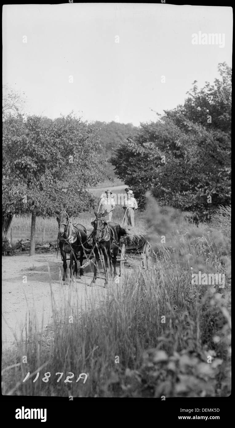 Letzte Ladung Entfernung von zu Hause im Pferdewagen - 281332 Stockfoto