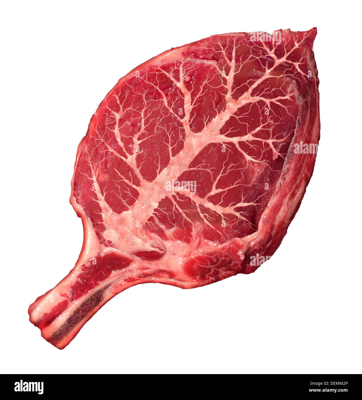 Bio-Fleisch und natürliche Nahrung als ein rohes Steak in der Form von einem grünen Blatt als Symbol für die verantwortliche Landwirtschaft und Grass gefüttert Stockfoto