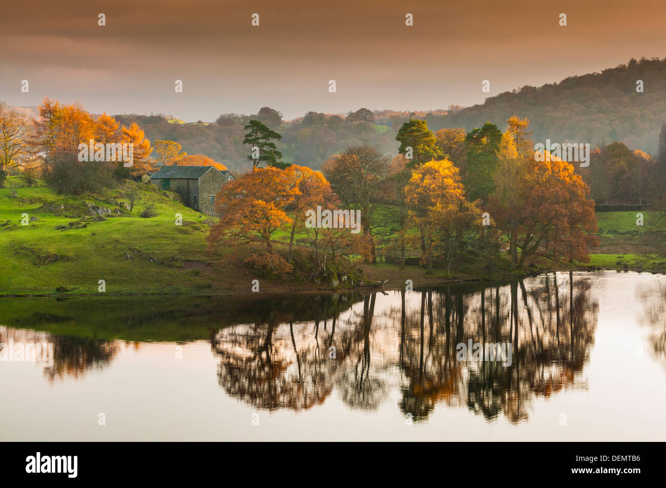 Loughrigg Tarn und Fell, sonnigen Herbsttag, Seenplatte, Cumbria, England, uk, Europa Stockfoto