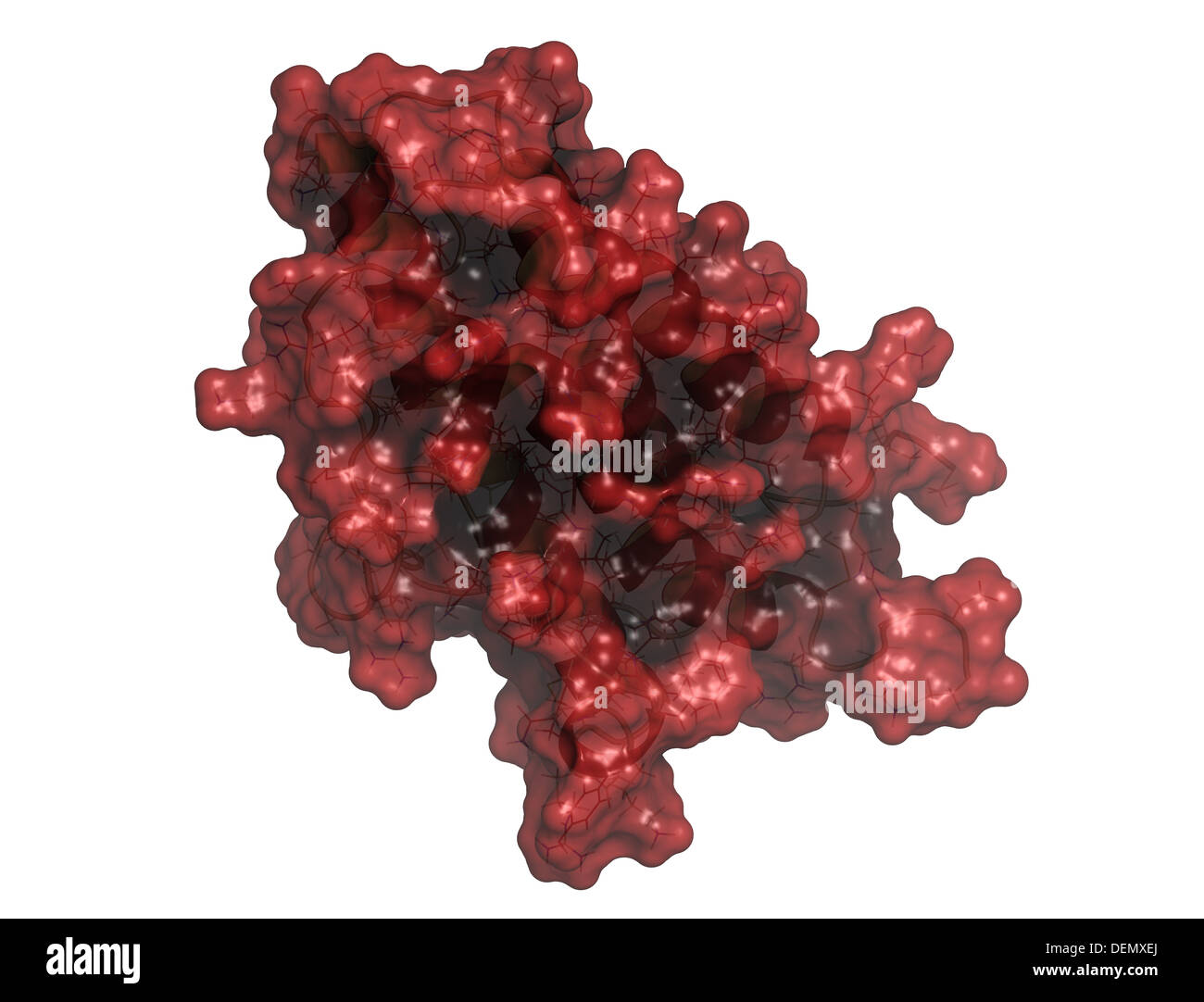 Erythropoetin (EPO, Epoetin) Protein Hormon. Stimuliert die Produktion von roten Blutkörperchen. Als Medikament und im Sport doping verwendet. Stockfoto