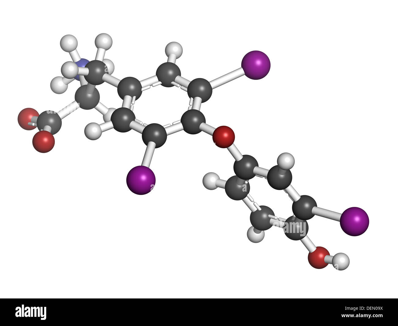 Trijodthyronins Hormon (t3, Liothyronine) Molekül, chemische Struktur. Schilddrüse Hormon. Stockfoto