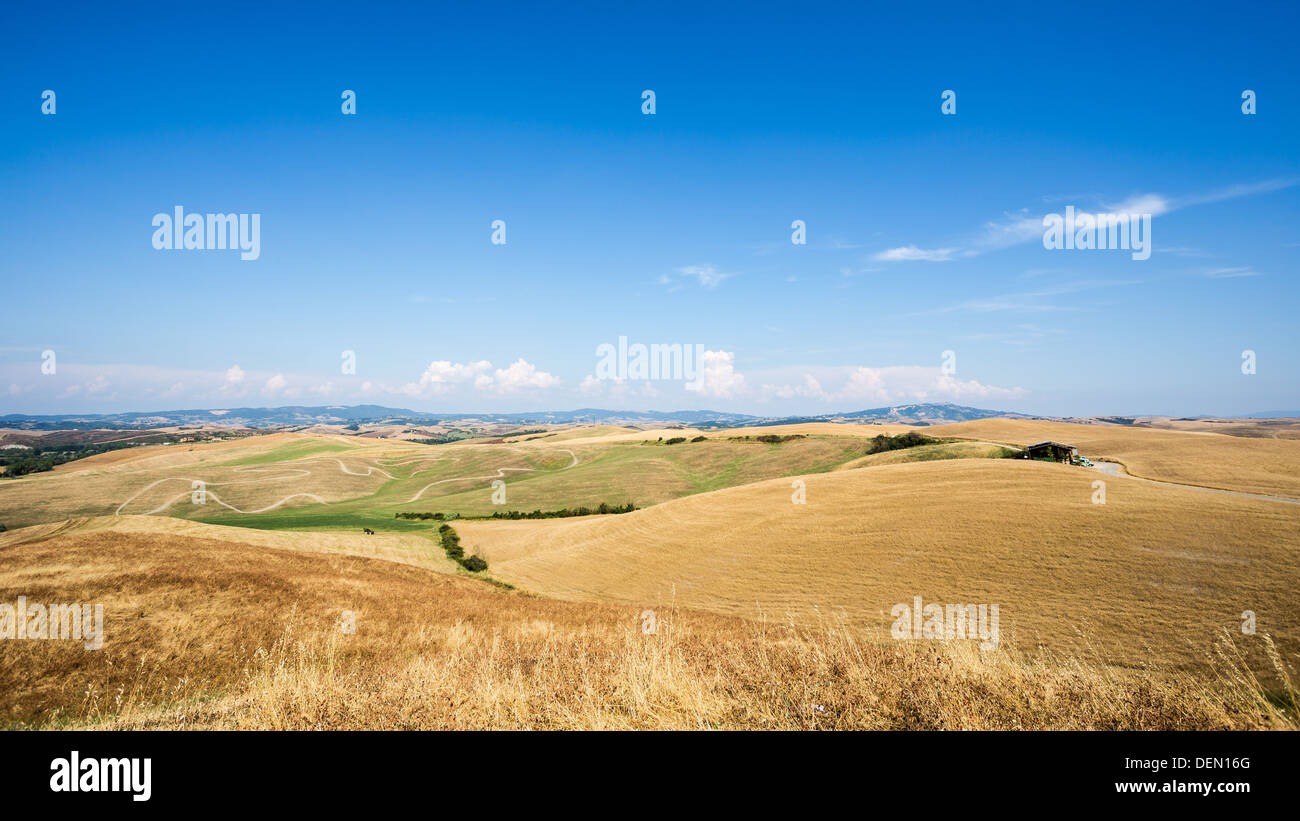 VOLTERRA: Landschaft von Volterra Felder im Sommer Stockfoto