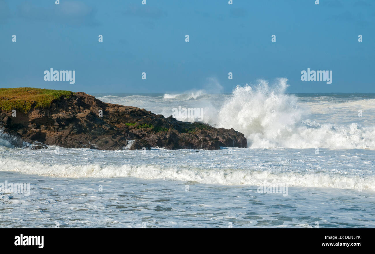 Kalifornien, San Mateo County Küste, Bean Hollow State Beach, Pazifik, brechenden Wellen, Surfen Stockfoto