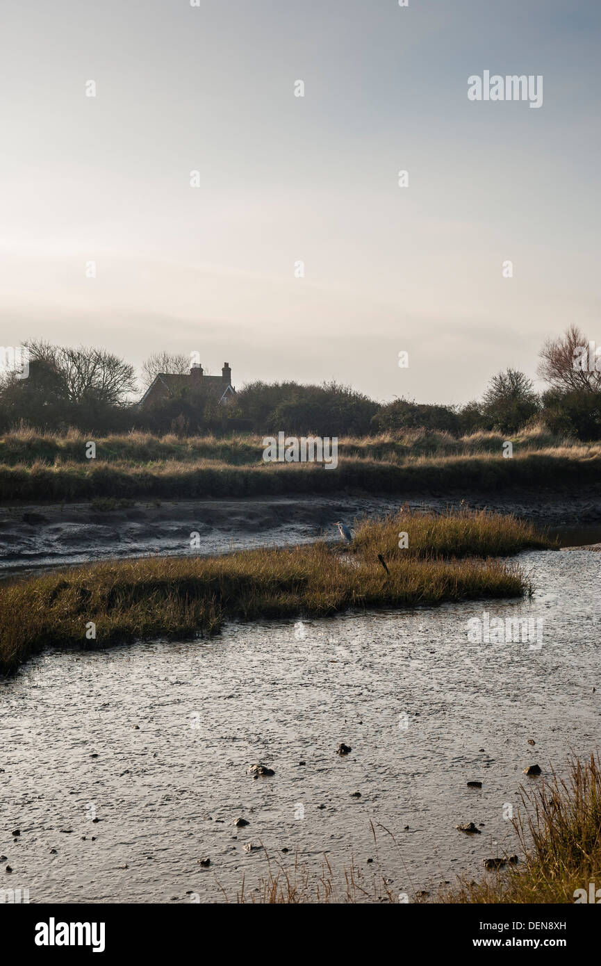 Pagham Hafen, Sussex, England, Stockfoto