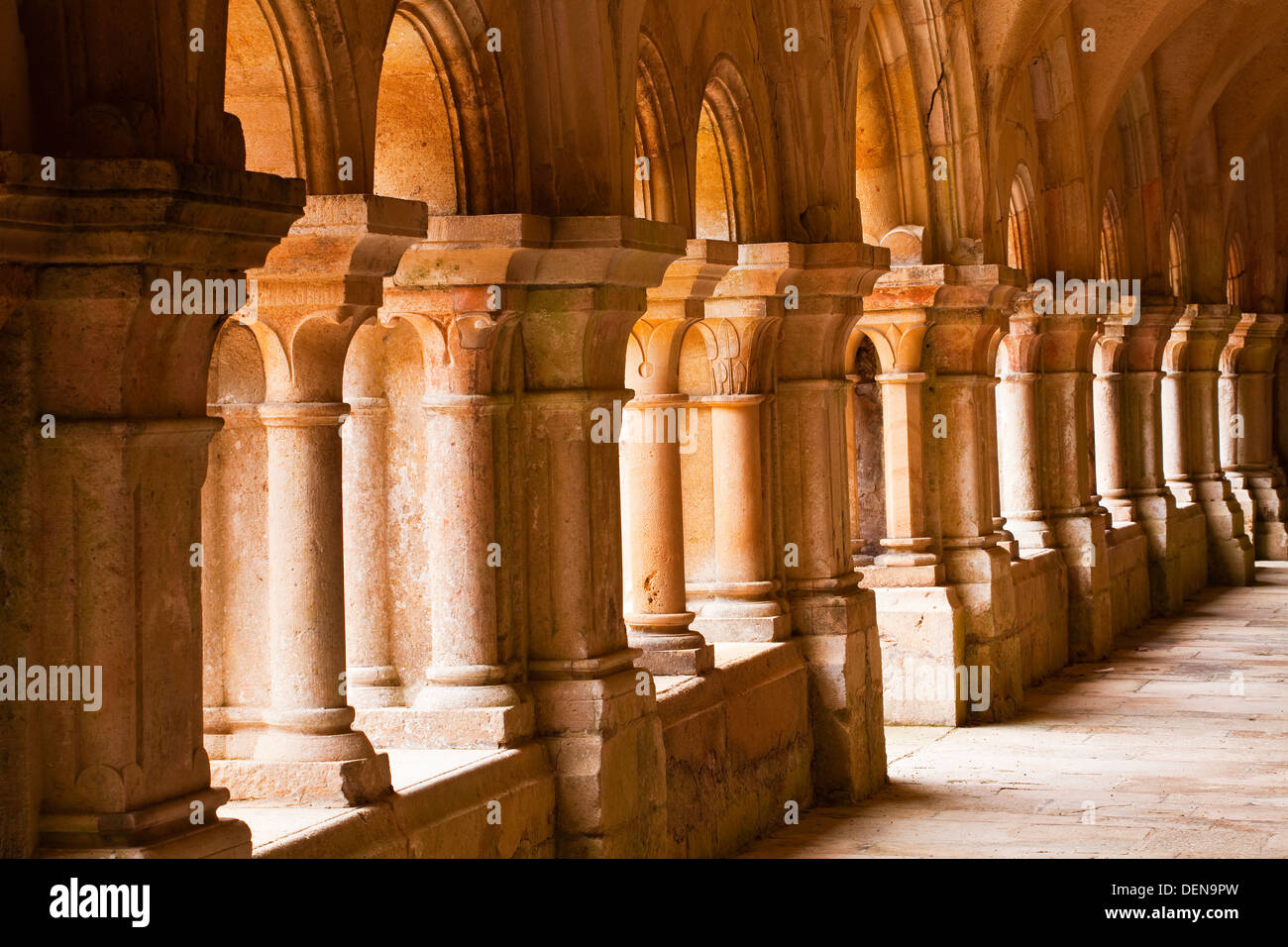 Der Kreuzgang von Fontenay Abbey im Bereich Cote d ' or des Burgund. Es ist ein UNESCO-Weltkulturerbe. Stockfoto