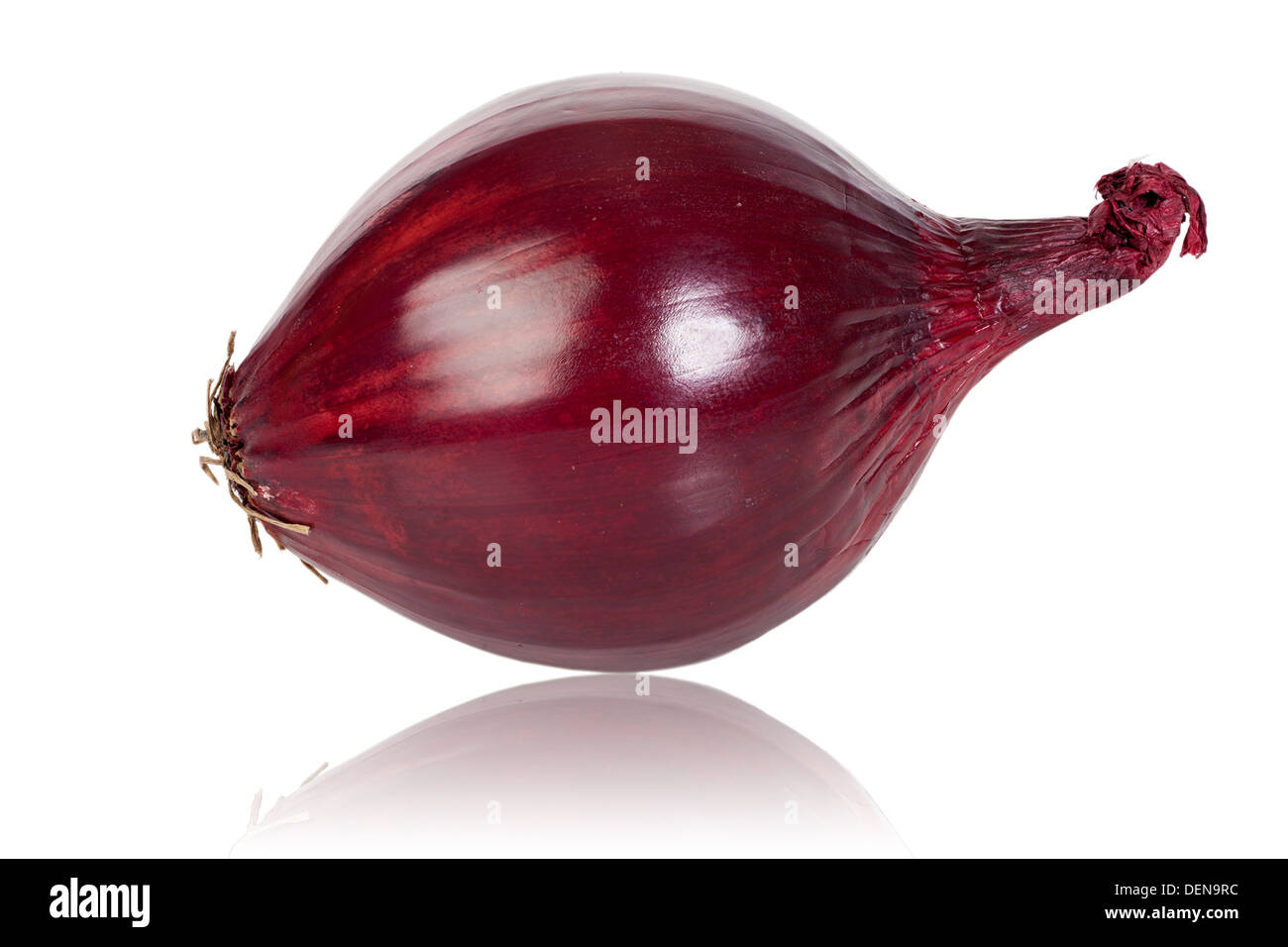 Einen ganzen frischen roten Zwiebeln isoliert auf weißem Hintergrund Stockfoto
