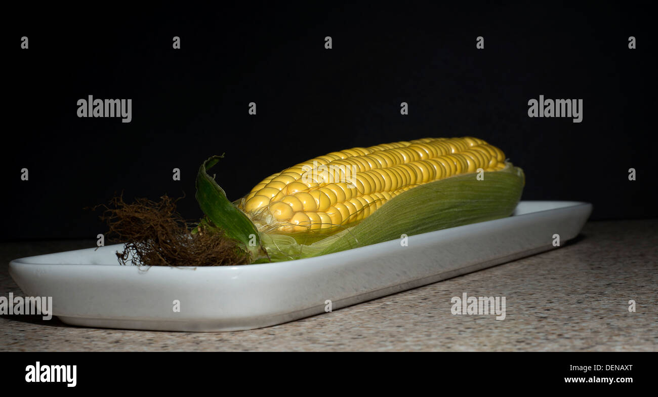 Zuckermais in einer weißen Schale in flachen Winkel Stockfoto