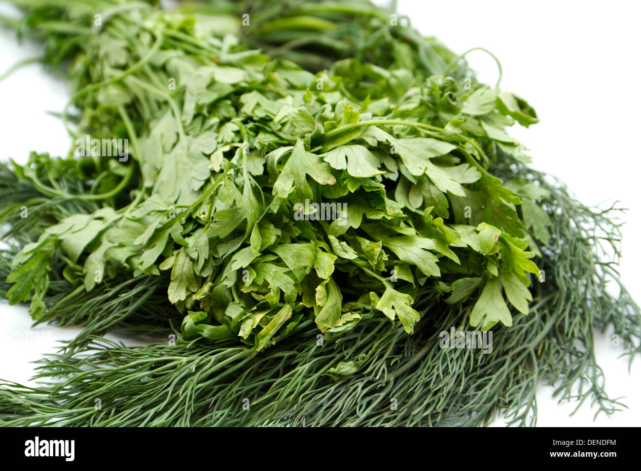 Frischer grüner Dill und grüne Petersilie Stockfoto