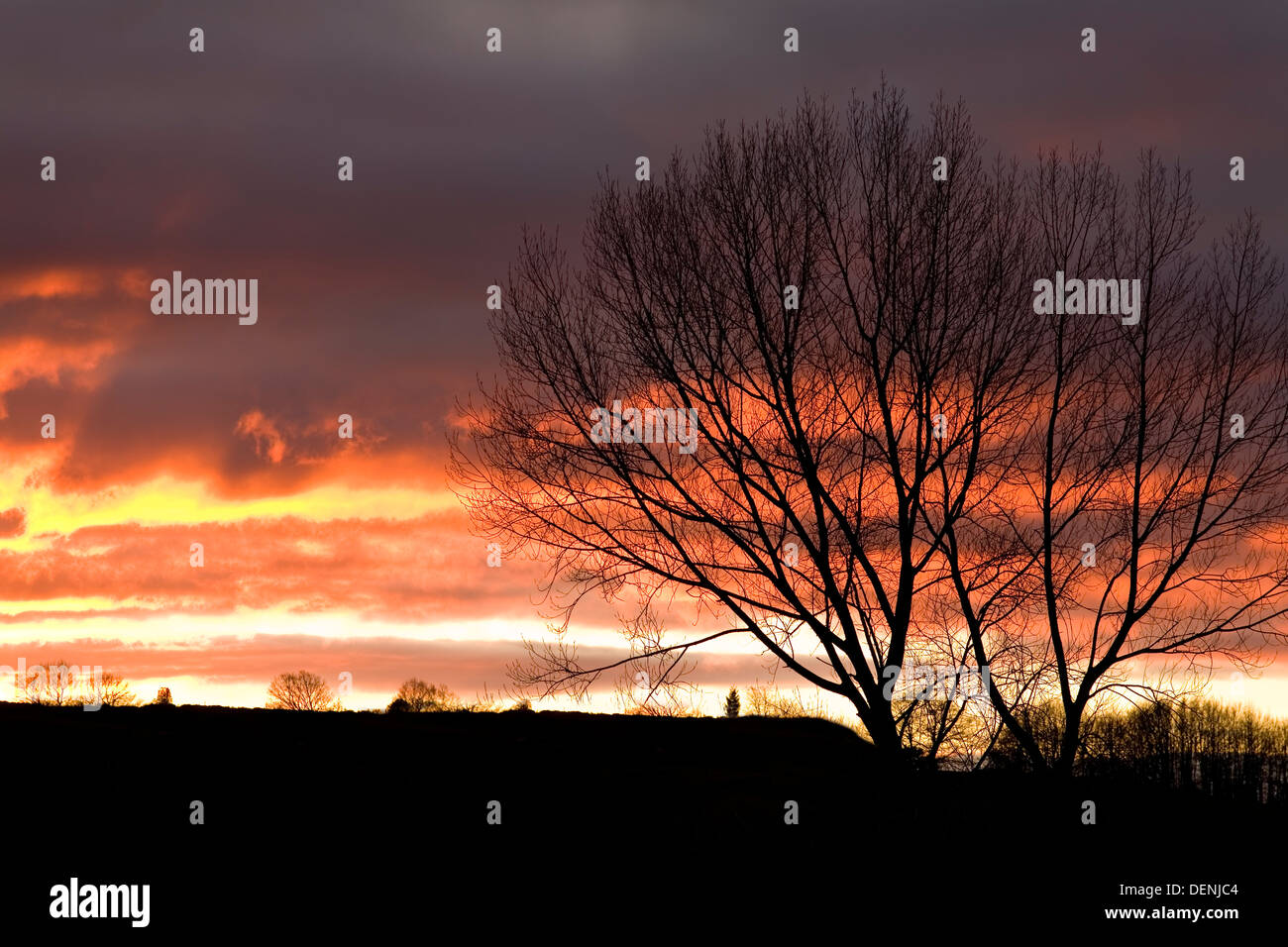 Hochmoor bei Sonnenuntergang. Las Merindades County, Burgos, Kastilien und Leon, Spanien, Europa Stockfoto
