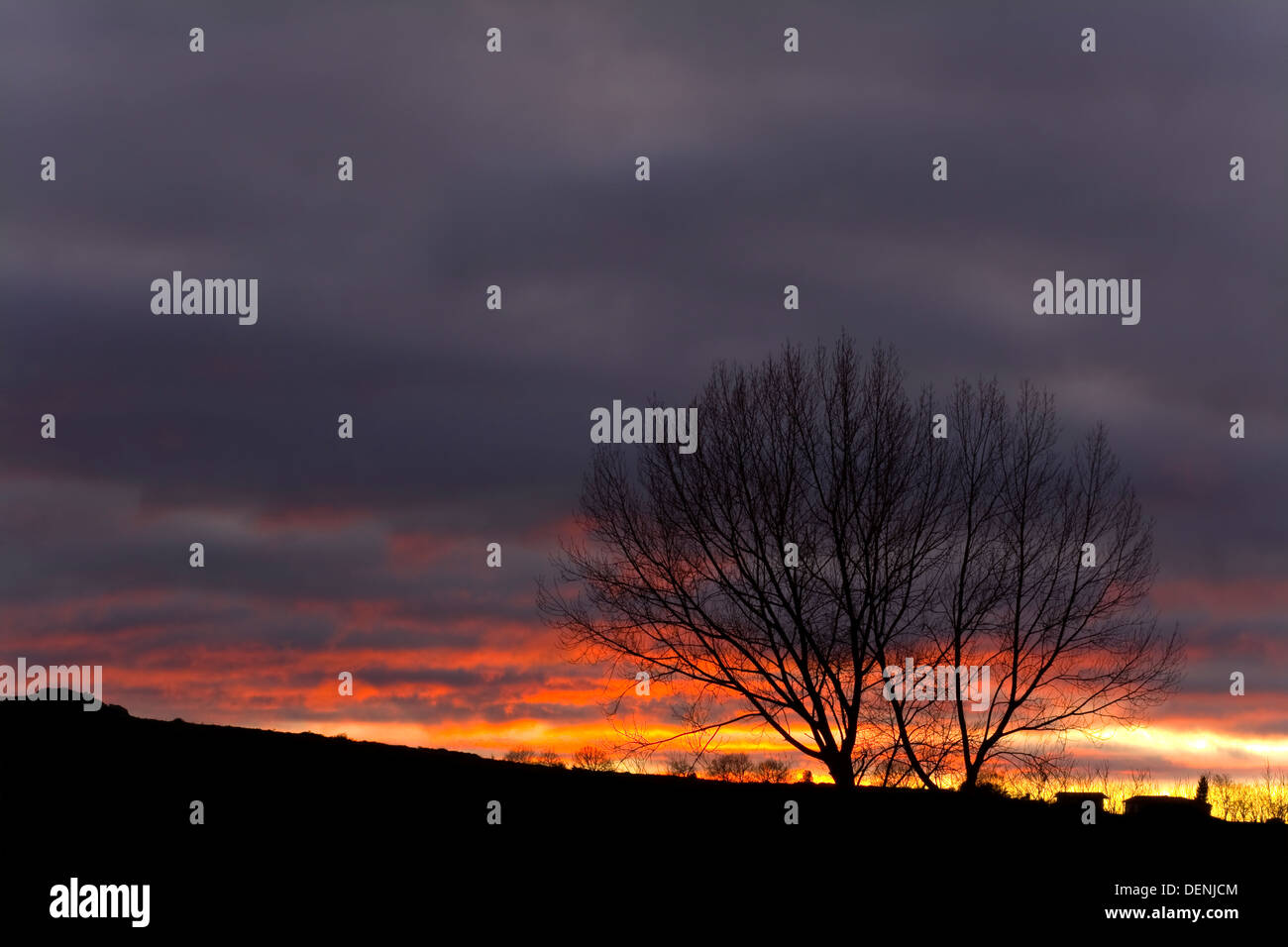 Hochmoor bei Sonnenuntergang. Las Merindades County, Burgos, Kastilien und Leon, Spanien, Europa Stockfoto