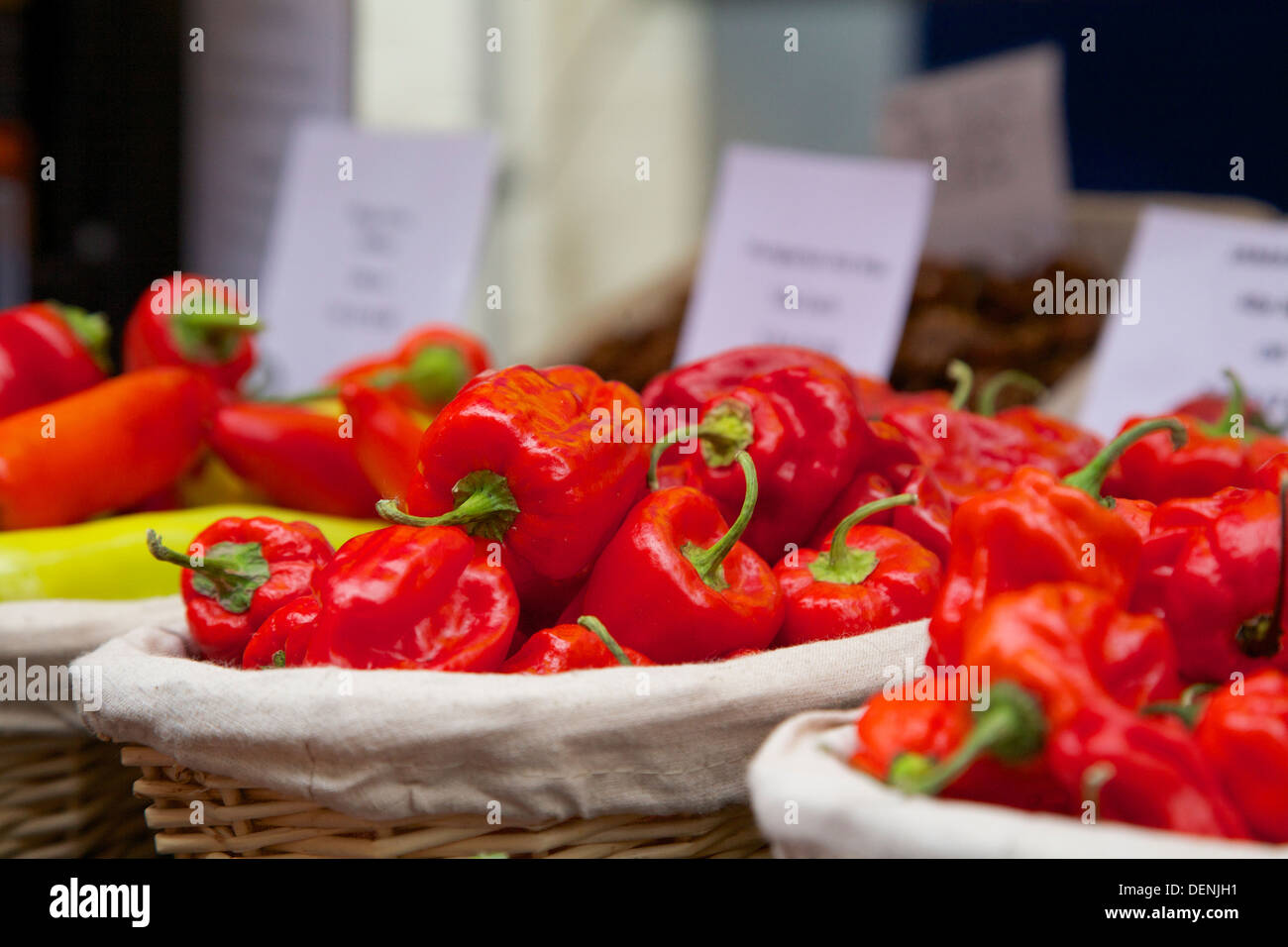 Habanero Chili, Abergavenny Food Festival 2013 Stockfoto