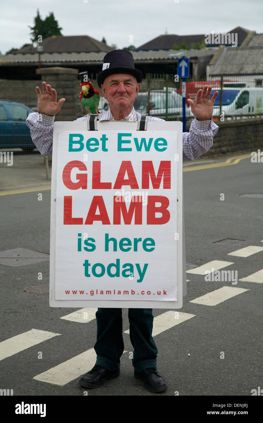 "Bet Ewe Glam Lamb ist hier heute" Mann mit Sandwichplatte Abergavenny Food Festival Stockfoto