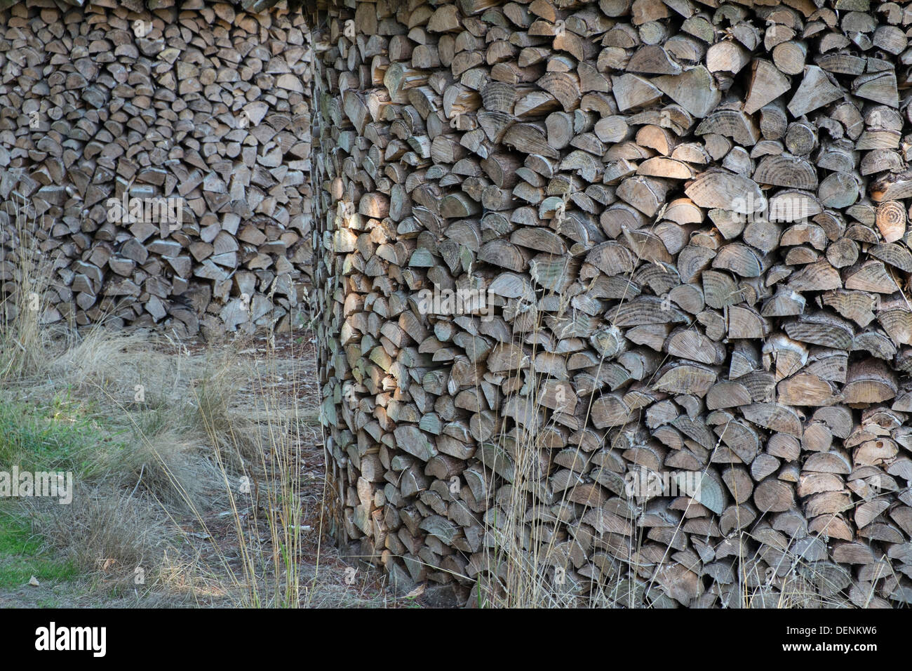Brennholz, Protokolle, die Trocknung in kreisförmigen Stapel aufgeteilt, Stockfoto