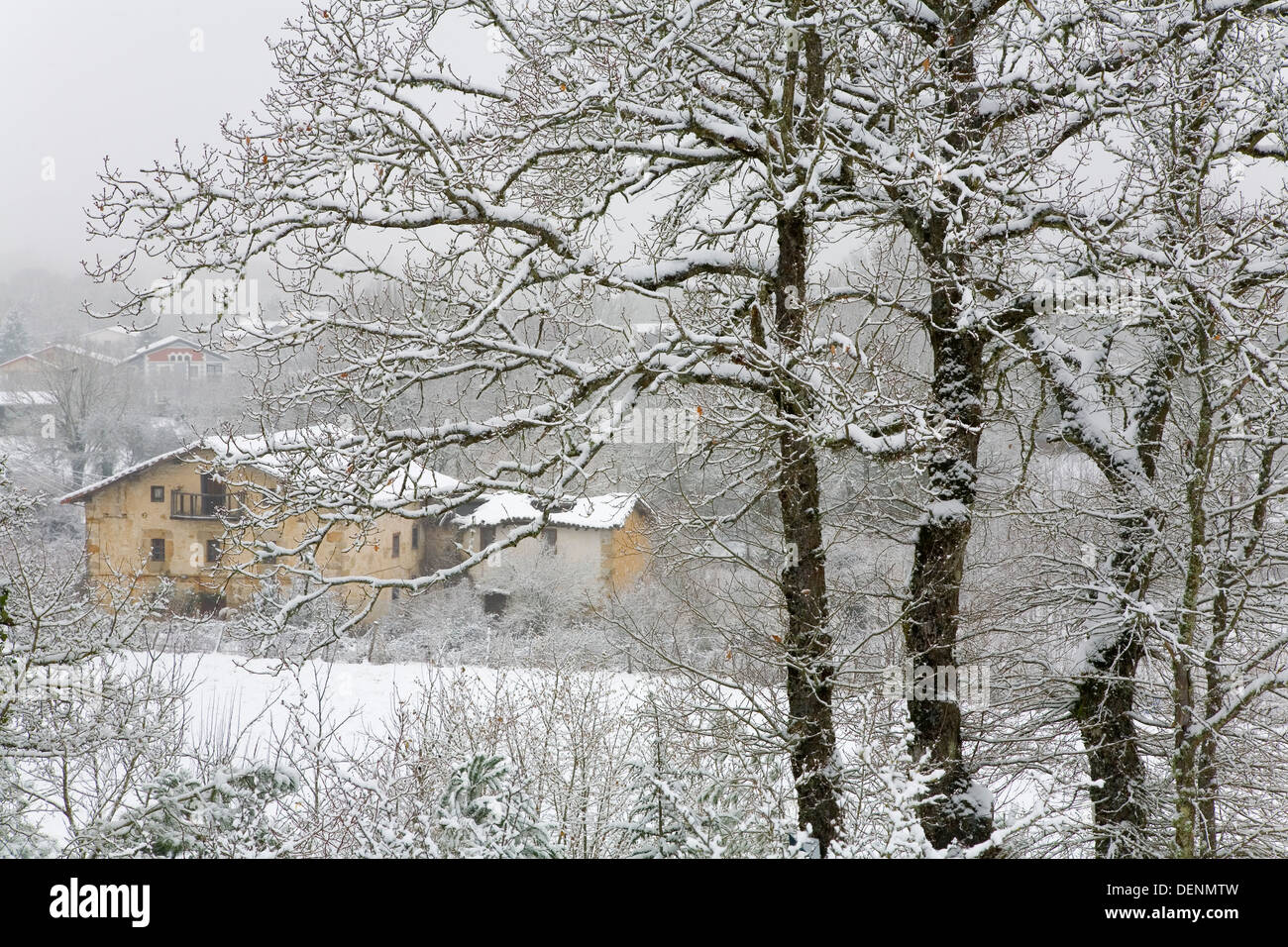 Schneebedeckte Landschaft im Winter.  Zuia, Alava, Baskisches Land, Spanien, Europa. Stockfoto