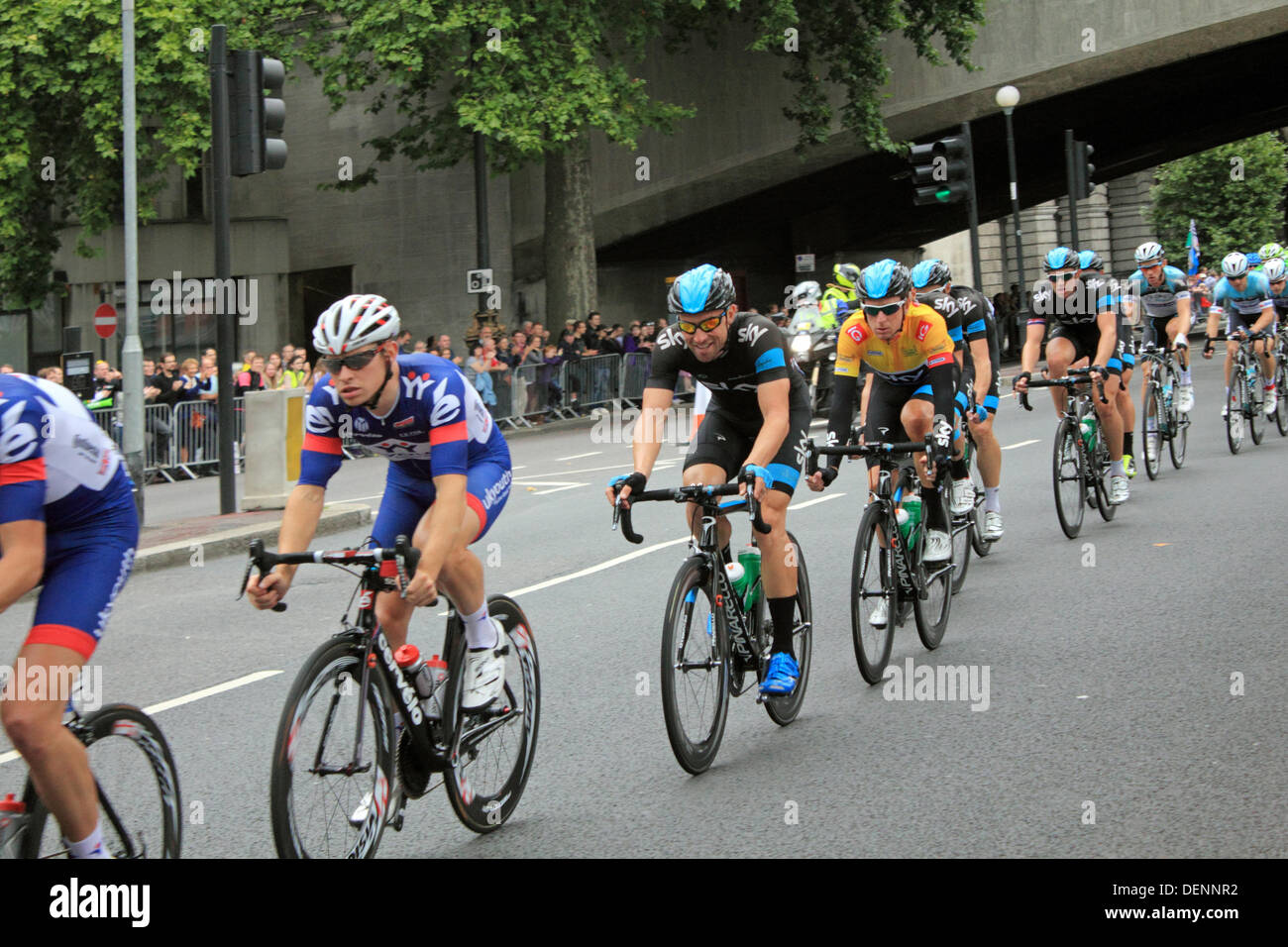 Die Embankment, London, England, UK. 22. September 2013. Die Hauptgruppe Geschwindigkeit vorbei an den Massen von jubelnden Fans auf Runde 3 von 10 in der Endphase der Tour of Britain-Radrundfahrt. Stufe 8 wurde schließlich von der Brite Mark Cavendish gewann Reiten für Omega Phama Quickstep. Die Gold-Trikot und Gesamtsieger war Britains Sir Bradley Wiggins (Zentrum von Schuss in gold-Trikot) für die Sky-Team. Bildnachweis: Jubilee Bilder/Alamy Live-Nachrichten Stockfoto