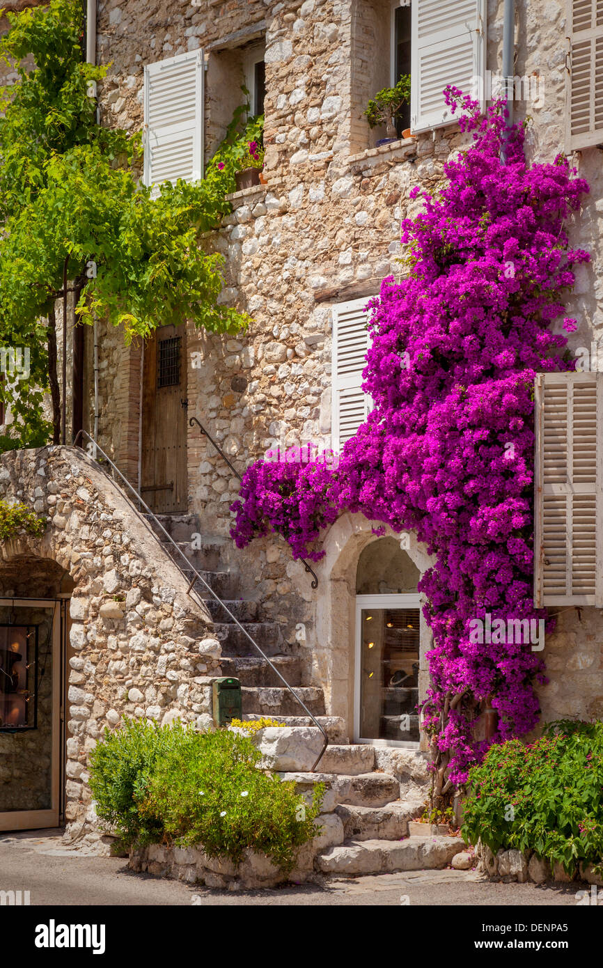 Bunte Blumen und Treppe führen zu Hause in St. Paul-de-Vence, Frankreich Stockfoto