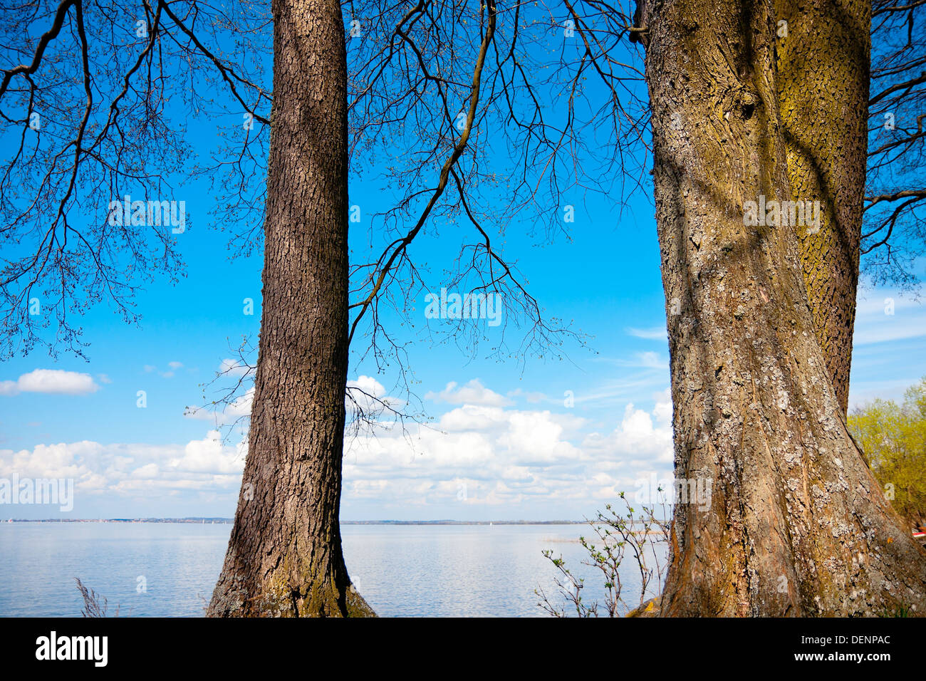 Blaue See Niegocin in Polen und große Bäume Stockfoto