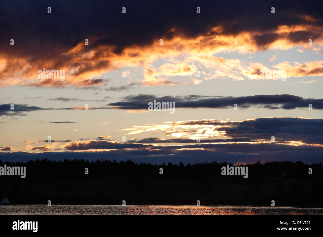 Acadia Nationalpark Sonnenuntergang, Mount Desert Island, Maine, USA Stockfoto