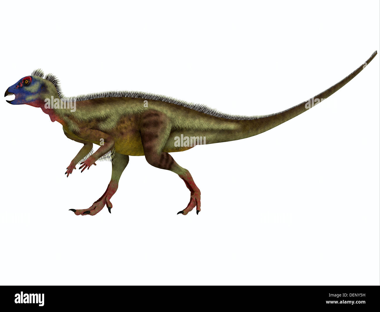 Hypsilophodon ist ein Ornithopod Dinosaurier aus der frühen Kreidezeit Europas. Stockfoto