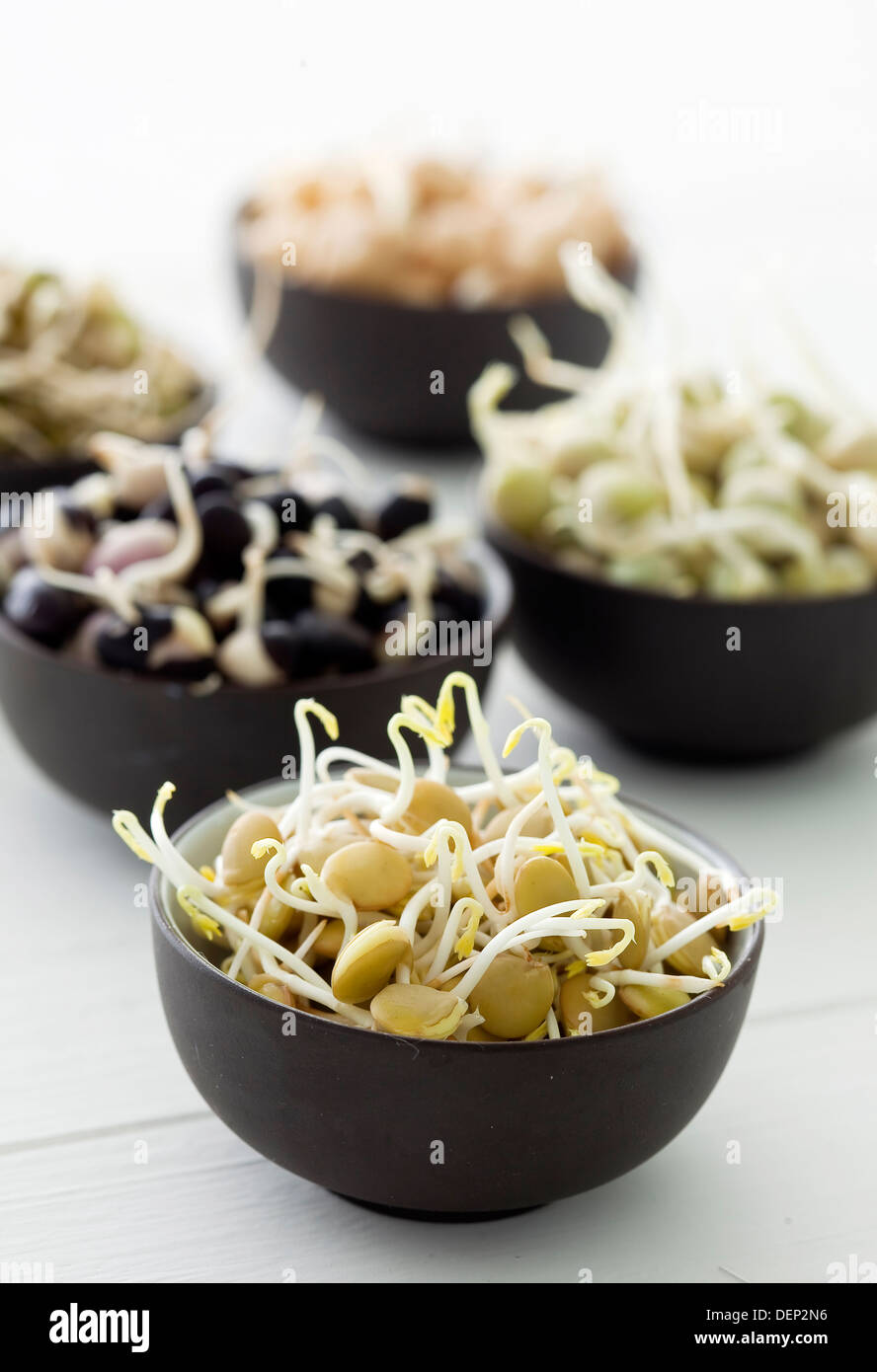 Kleine schwarze Schalen gefüllt mit verschiedenen Keimen Hülsenfrüchte und Hülsenfrüchte; Rosenkohl, Erbsen, Bohnen und Linsen. Stockfoto