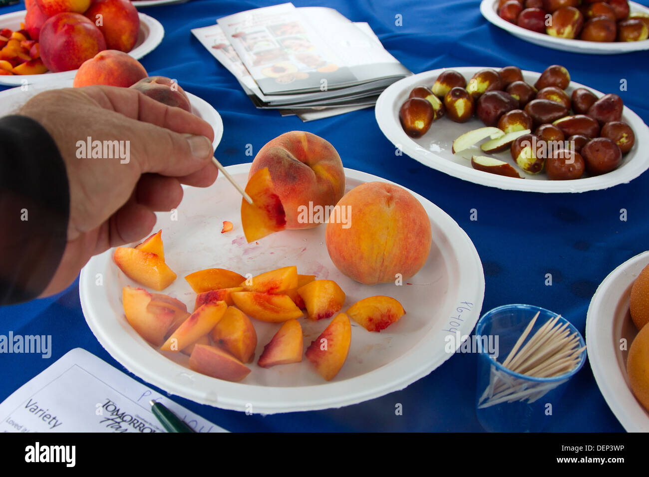 Eine Hand ruft eine Probe aus einer Frucht Verkostung Tabelle. Stockfoto