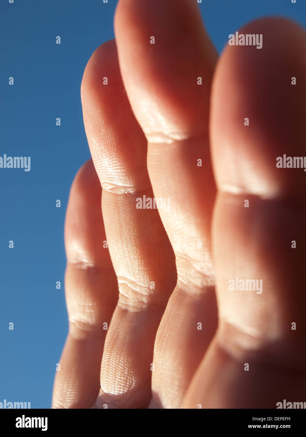 Detailansicht der Finger mit Sonnenstrahlen beleuchtet. Stockfoto