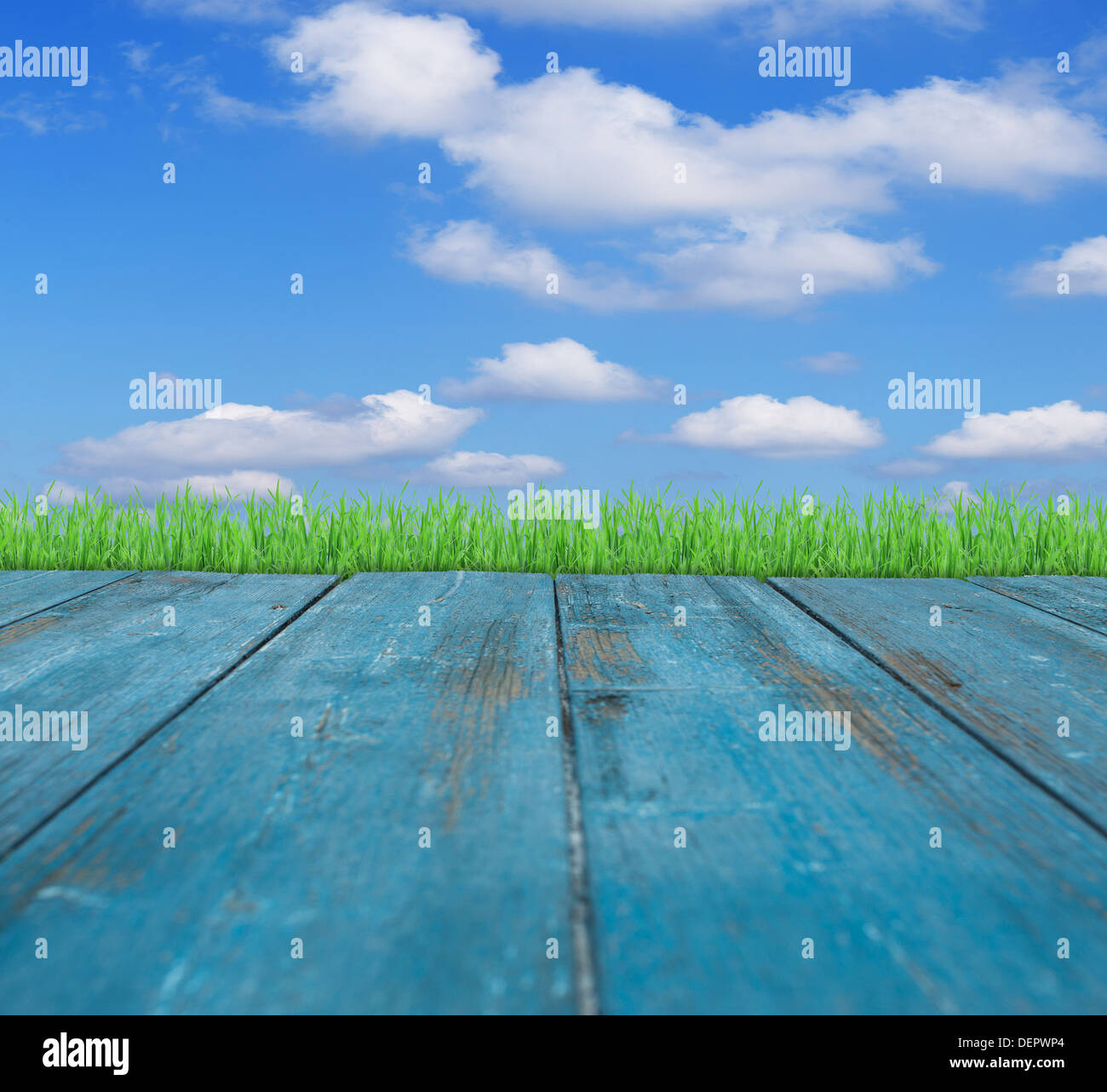 Natur-Frame-Design-element Stockfoto