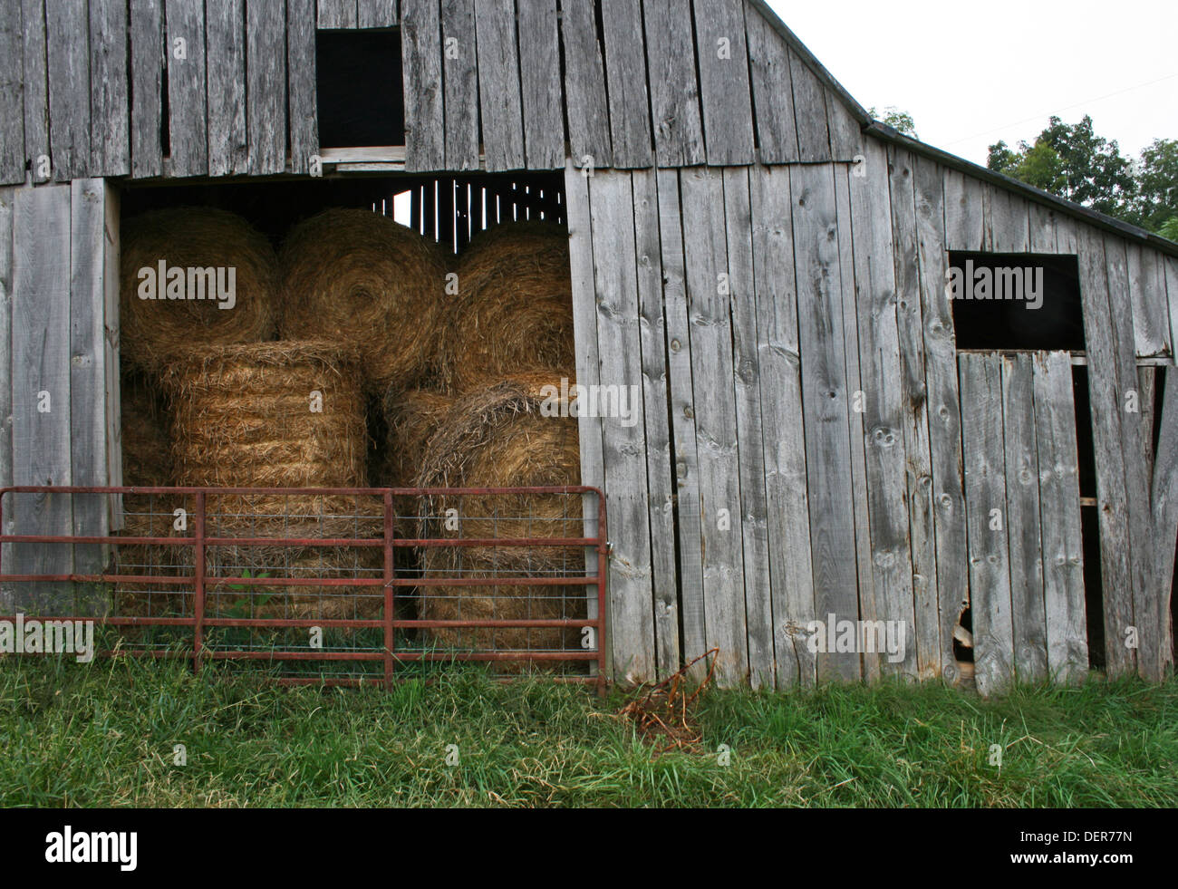 Runde Heuballen in verwitterte Scheune Stockfoto