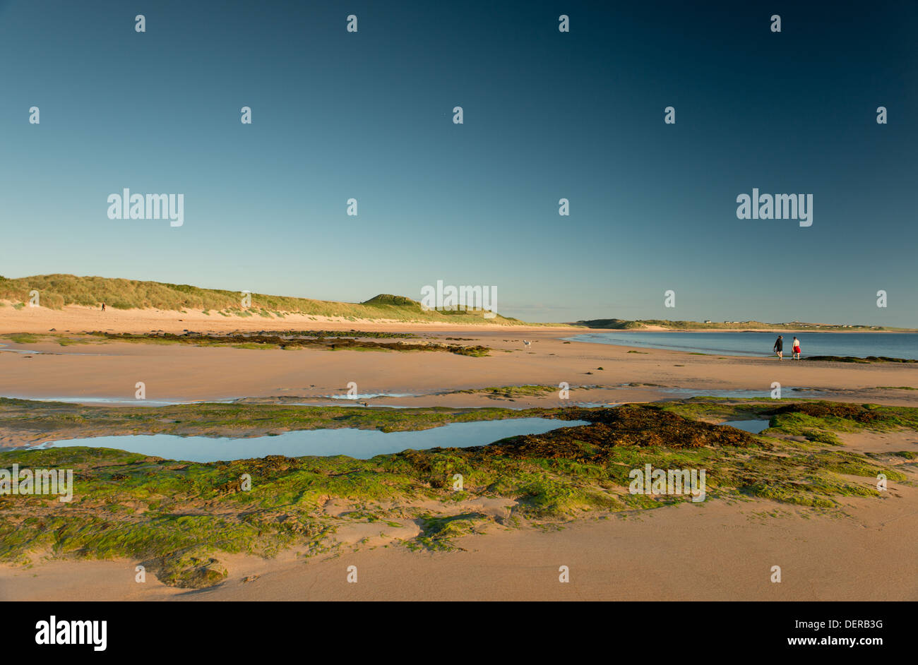Ein am frühen Morgen-Blick auf den Strand Embleton Bay, Northumberland, UK Stockfoto