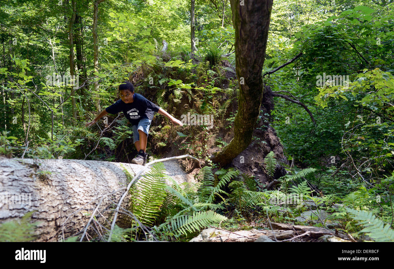 Schwarzer Junge aus New Haven erforscht den Wald in eine Wanderung im Westen Rock Park. Stockfoto